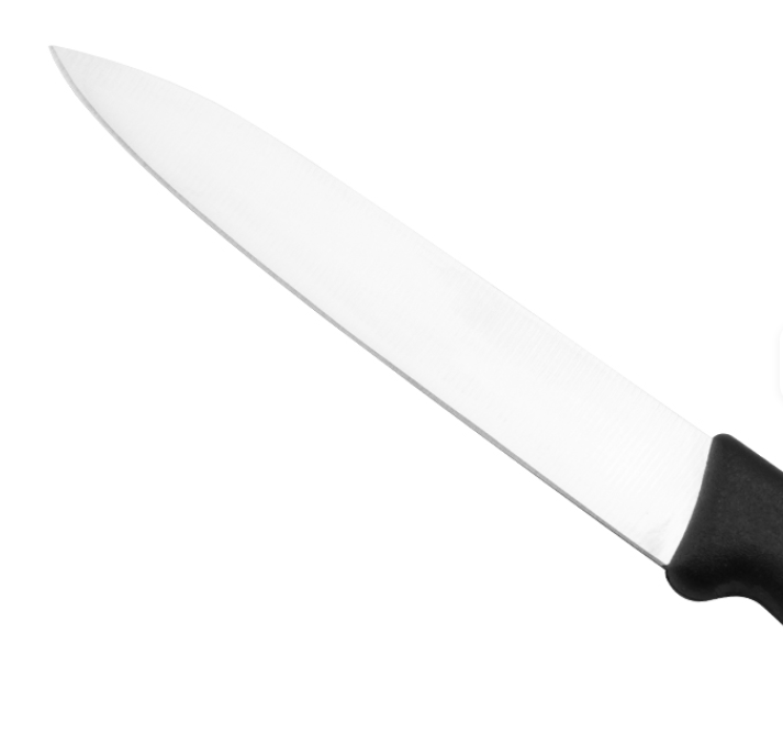 4" Paring Knife